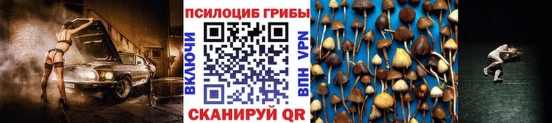 Псилоцибиновые грибы MAGIC MUSHROOMS  гидра маркетплейс  Асбест  где купить наркоту 